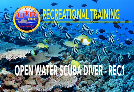 Open Water Scuba Diver – REC1