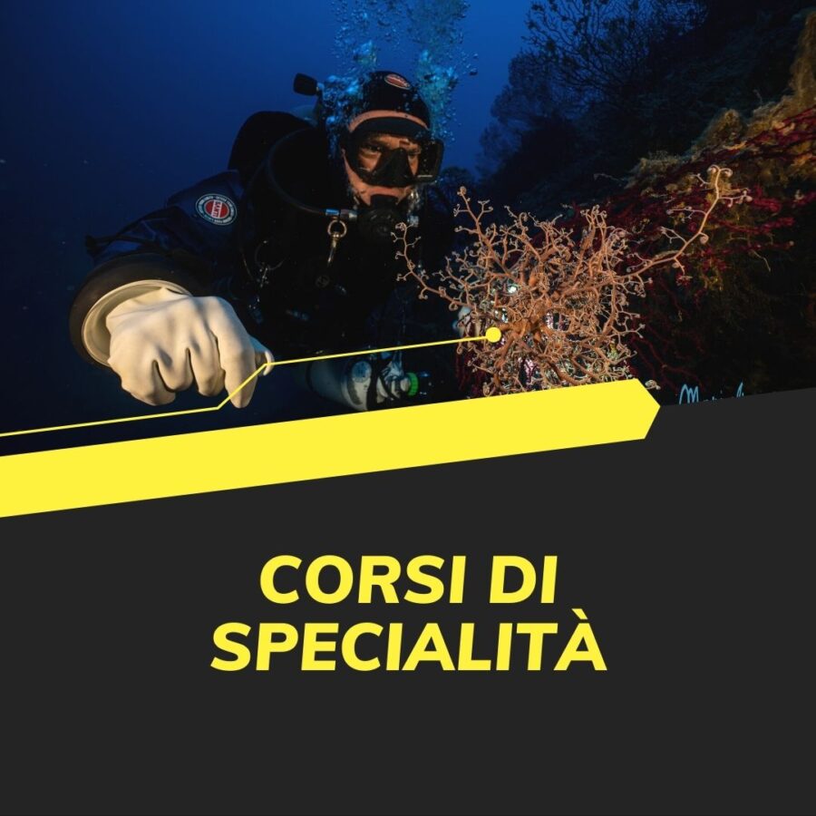 Corsi Specialità