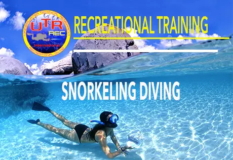 Corso Snorkeling