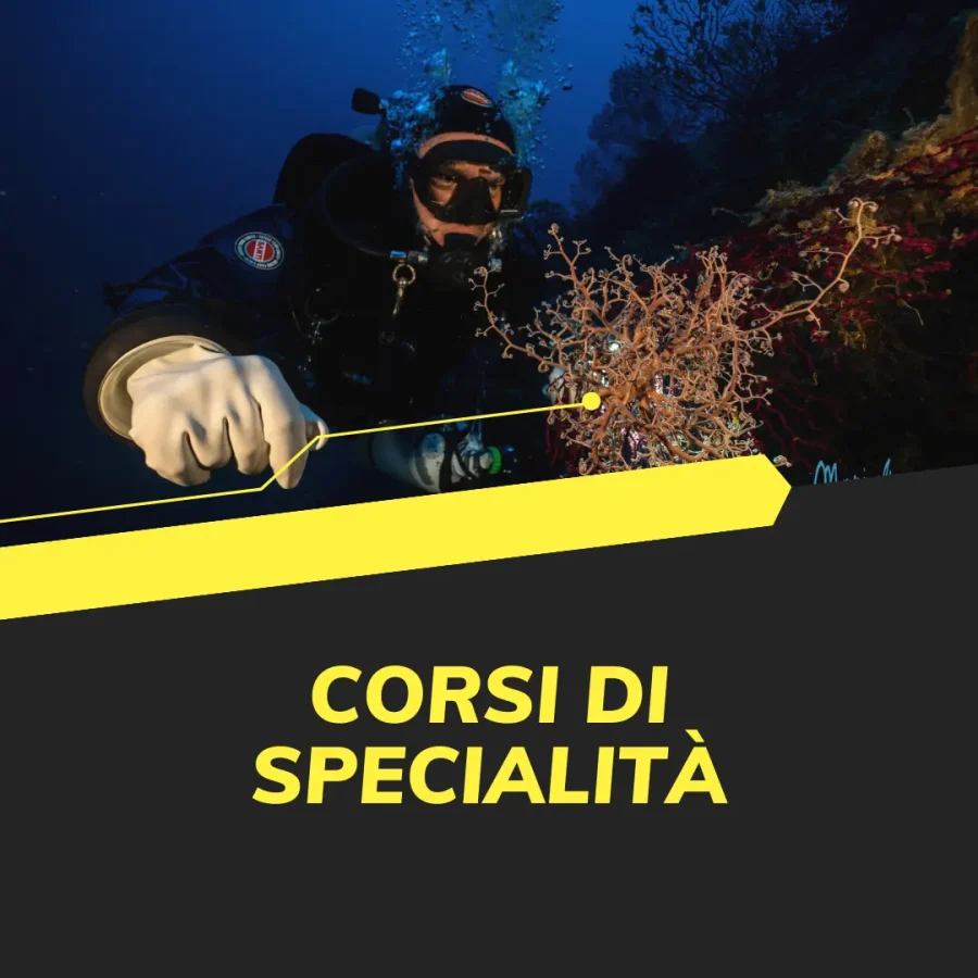 Corsi Specialità